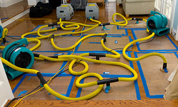 Professional Crawl Space Water Removal technician working in Defiance, IA